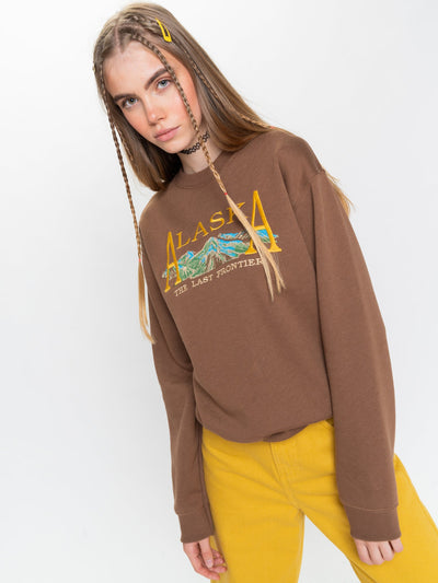 Alaska Sweater in Brown#color_brown